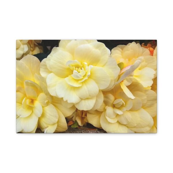 Canvas Print - White Flowers Design - Image 9