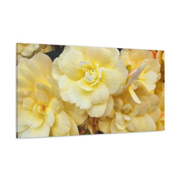 Canvas Print - White Flowers Design - Image 38