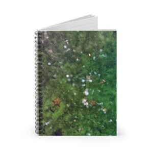 Spiral Notebook - Jellyfish and Starfish, Journal, Diary, Notebook, Back to School, Gift