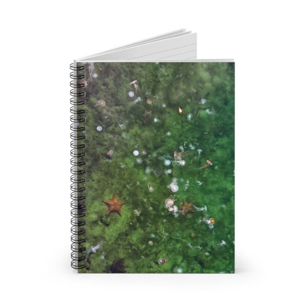 Spiral Notebook - Jellyfish and Starfish, Journal, Diary, Notebook, Back to School, Gift