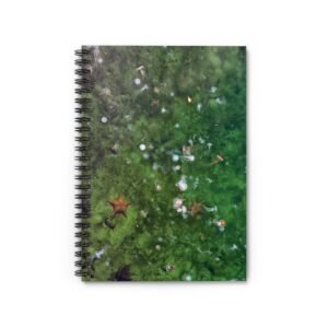 Spiral Notebook – Jellyfish and Starfish, Journal, Diary, Notebook, Back to School, Gift